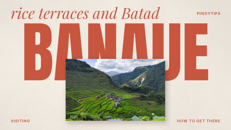 Banaue rice terraces: terraced rice fields under green mountains